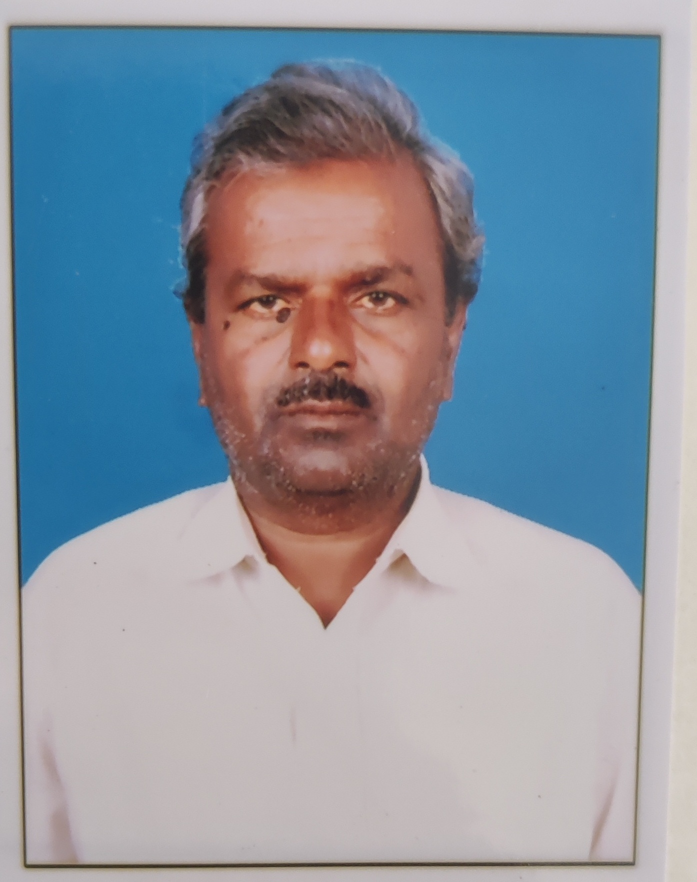 Bekanalli bank members